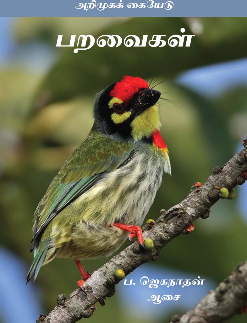 பறவைகள் ஓர் அறிமுக கையேடு Crow nest Tamil Environment Books, Bird