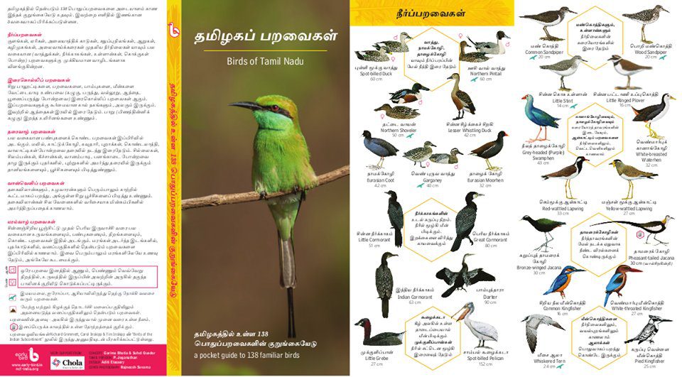 Early Bird Pocket Guides